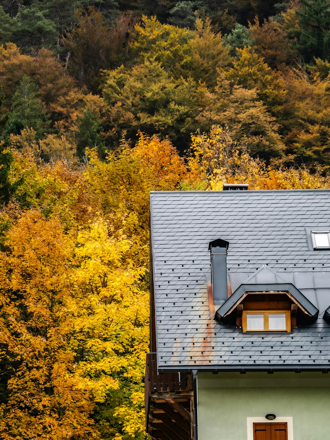 a-house-with-a-dormer-window-against-autumn-trees-hl4yvwxfaxe