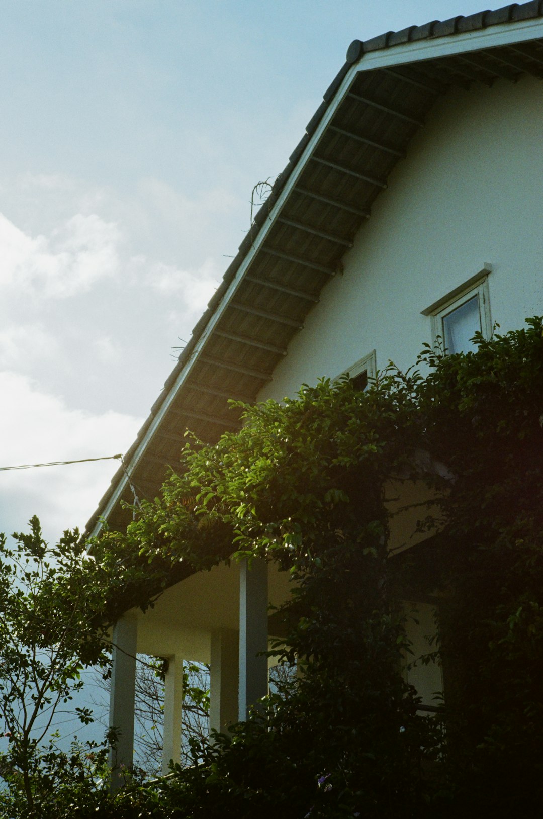a-white-house-with-green-vines-growing-on-it-urlkotynjj8